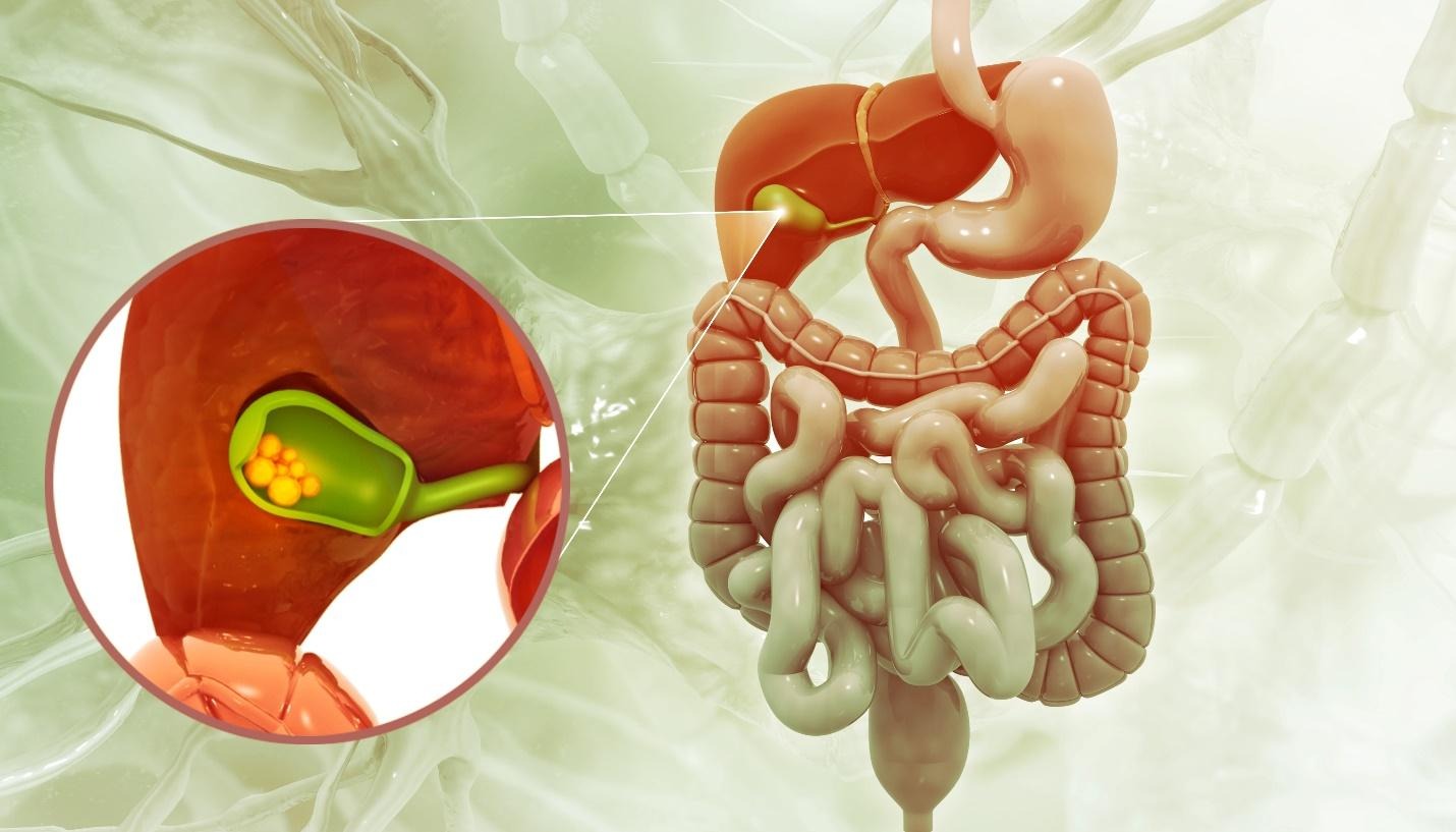 warning signs of gallbladder problems.